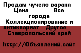 Продам чучело варана › Цена ­ 15 000 - Все города Коллекционирование и антиквариат » Другое   . Ставропольский край